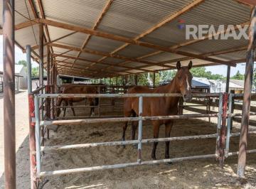 Terreno · 2454m² · Lote en Venta C Vista a Cancha de Polo - Open Door