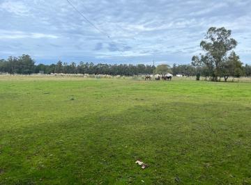 Quinta vacacional · 250m² · 3 Ambientes · Latorre Prop. Vende Campo de 4 Ha