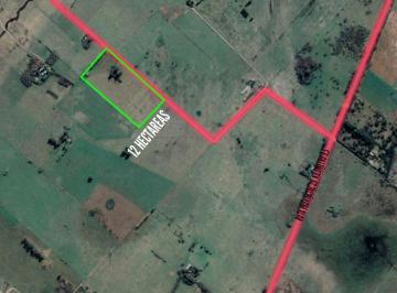 Campo · 280m² · 3 Ambientes · Campo en Venta - 12 Hectáreas Totales - Jeppener