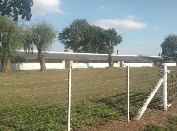 Campo · 18000m² · Campo en Venta - 17.300 m² - Chacabuco