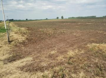 Campo · 4500000ha · Campo en Venta - 450 Hectáreas - Espigas