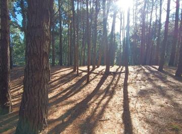 Terreno · 1300m² · Lote N°35 Bosques Costa Esmeralda