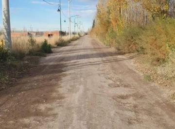 Terreno · 514m² · Lote en Oro: Naturaleza y Confort Para Tu Familia