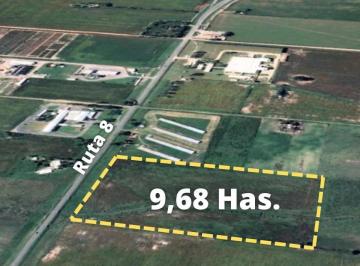 Campo · 96852m² · Campo en Venta - 96.852 m² - Colón