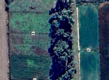 Campo · 40000m² · Alquiler de Instalaciones Para Feedlot en Cruz Alta, Cordoba