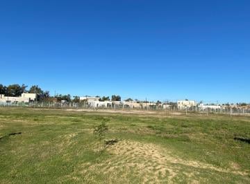 Terreno · 508m² · Lote en Oportunidad Santa Sofia - Pilar del Este