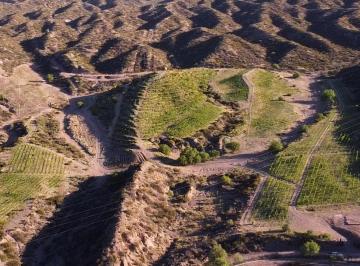 Campo · 820m² · Exclusiva Propiedad a La Venta con Salón de Eventos y Lodge Turístico en Entorno Natural Único