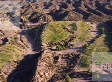 Campo · 820m² · Exclusiva Propiedad a La Venta con Salón de Eventos y Lodge Turístico en Entorno Natural Único