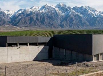 Campo 50ha Venta · Finca y Bodega en Tunuyán