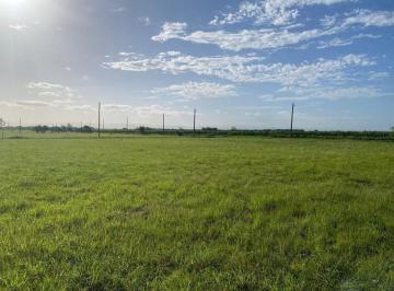Terreno · 336m² · Venta Terreno Juarez Celman Cba B. Nva. Generacion