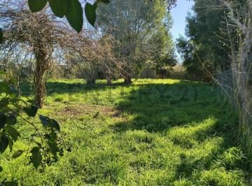 Terreno · 1000m² · Lote en Venta Samborombon Brandsen