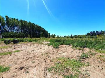 Terreno · 50000m² · Chacra en San Patricio del Chañar 5 Has - Añelo - Neuquen