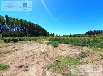Terreno · 50000m² · Chacra en San Patricio del Chañar 5 Has - Añelo - Neuquen