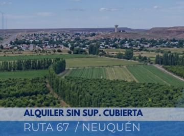 Terreno · 40000m² · Ruta 67 Neuquén/terreno en Alquiler Para Base Industrial