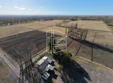 Campo · 600000ha · Venta - Chacra de 60 Hectáreas en Catriel - R030