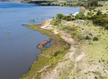 Campo · 170000ha · 1 Ambiente · Venta Campo 17 Ha Sobre La Laguna del Sauce Punta del Este