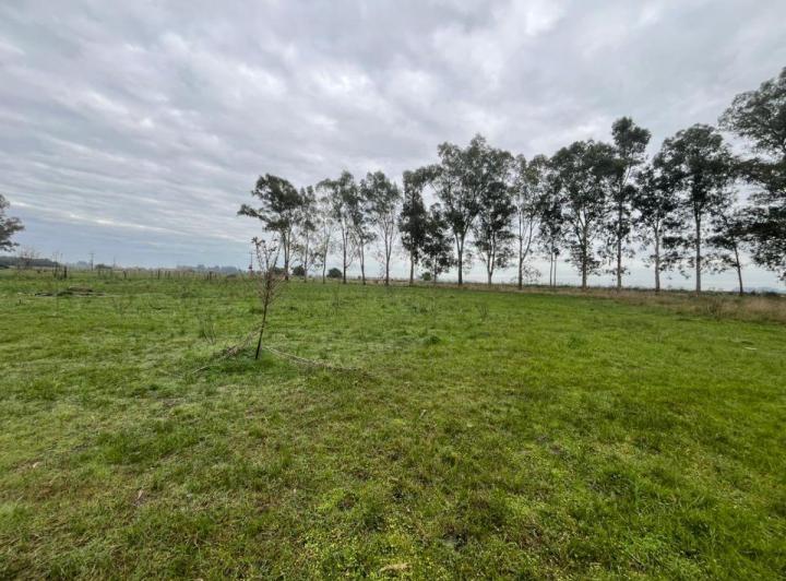 Terreno · 1880m²