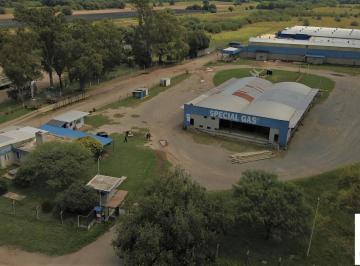 Bodega-Galpón · 1125m² · Galpón Industrial
