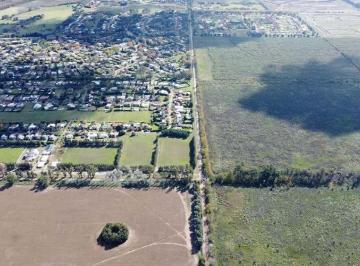 Terreno · 986m² · Terreno en Venta en Altos de Champagnat