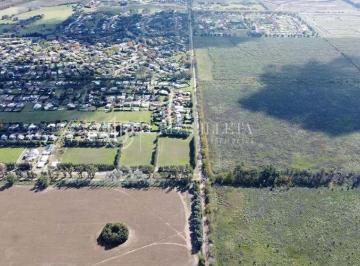 Terreno · 986m² · Terreno en Venta en Altos de Champagnat