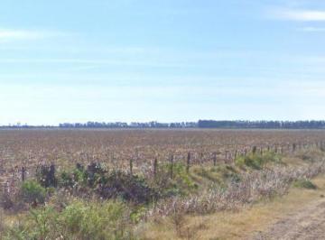 Campo · 280000ha · Campo en Ramallo Paraíso 28 Hectáreas