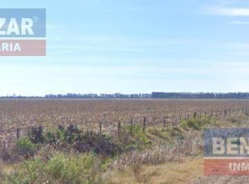 Campo · 280000ha · Campo en Ramallo Paraíso 28 Hectáreas