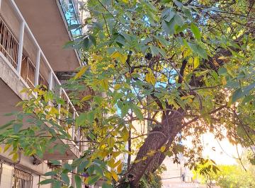 Departamento de 2 ambientes, Palermo · Dueño Directo Vende Palermo Soho 2 Amb Cocina Aparte Lav Balcón Vista Abierta