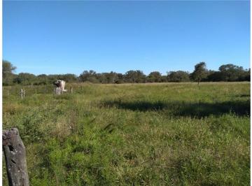 Campo · 48ha · Se Vende Campo Ganadero en Margarita