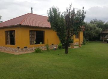 Casa · 238m² · 4 Ambientes · 2 Cocheras · Casa Quinta, Pileta, Frutales, Calle Serpa, Maipu