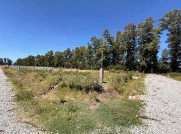 Terreno · 1006m² · Lote en Venta en Plomer 1195 m² Escriturable