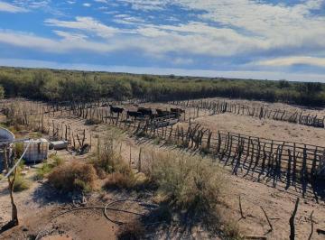 Campo · 100ha · Campo Ganadero Oportunidad 1200 Ha