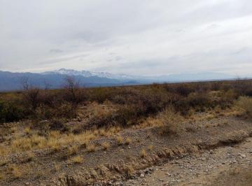 Terreno · 25000m² · Venta Terreno de 2,5ha, Pareditas, San Carlos Mza