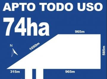 Campo · 74ha · Campo Sobre Ruta 19