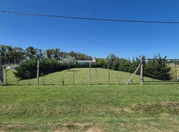 Terreno · 731m² · Terreno en Venta en Cucha Cucha, Chacabuco