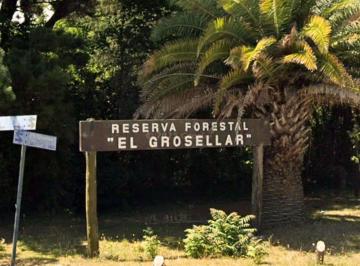 Terreno · 704m² · Lote en Barrio Grosellar de 704 m² Alambrado