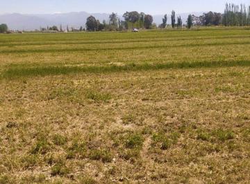 Campo · 6ha · Venta Finca 6 Ha - El Pastal Lavalle