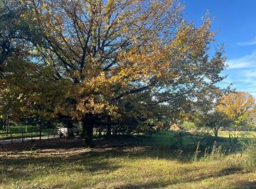 Terreno · 11460m² · Excelente Lote a m del Centro de La Granja
