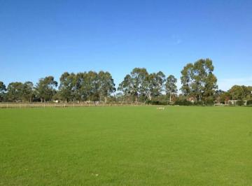 Terreno · 456m² · Excelente Oportunidad!
