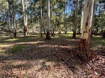 Terreno · 1000m² · Lotes en Venta en C. Carolina con Financiacion