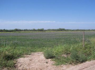 Campo · 648ha · Campo Ideal Para Desarrollo Agricola y Ganadero!