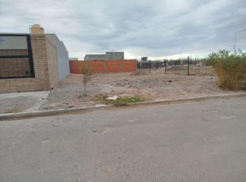 Terreno , Plottier · Terreno de 302 m² en Venta en B°confluencia, Plottier