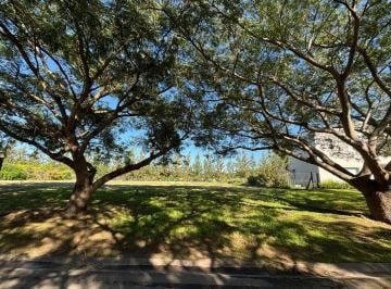 Terreno · 812m² · Oportunidad Lote Interno Venta. B. Norte, El Cantón Escobar