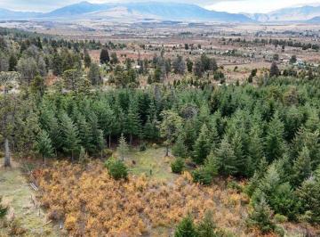 Campo · 1ha · Paraíso Patagónico a 5' del Centro Trevelin· 1 Ha