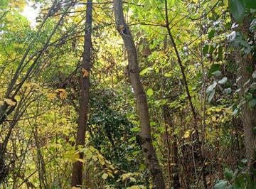 Terreno , El Bolsón · Terreno El Bolsón