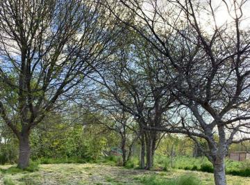 Terreno · 650m² · Lotes en Venta Villa Elisa