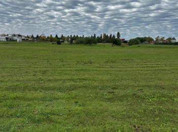 Terreno · 983m² · Venta Lote en San Sebastian Area 1 Lote 298