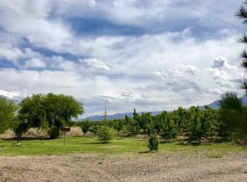 Campo , Vista Flores · Clodomiro Silva - Vistaflores