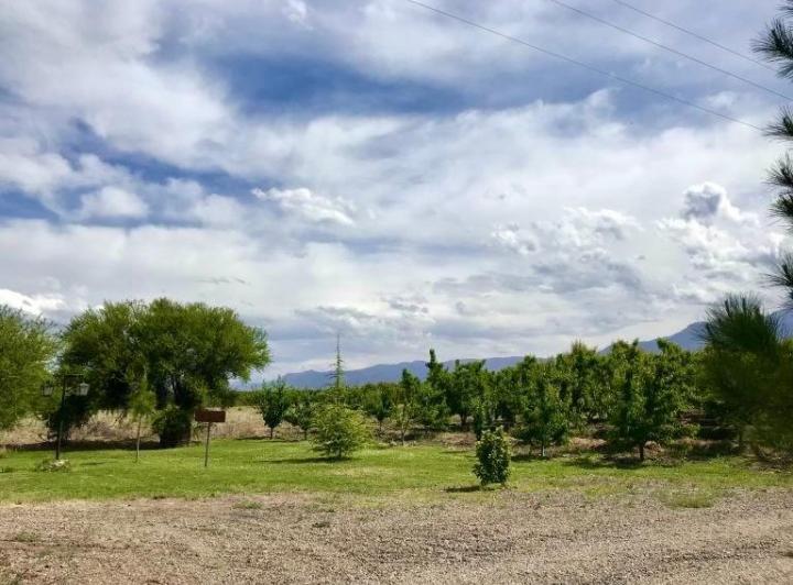 Campo · 400m²