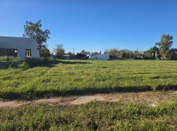 Terreno · 250m² · Se Vende Terreno 100% Financiado en Santo Tome.