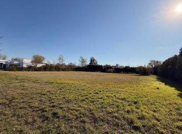 Terreno · 2070m² · Lote en Causana